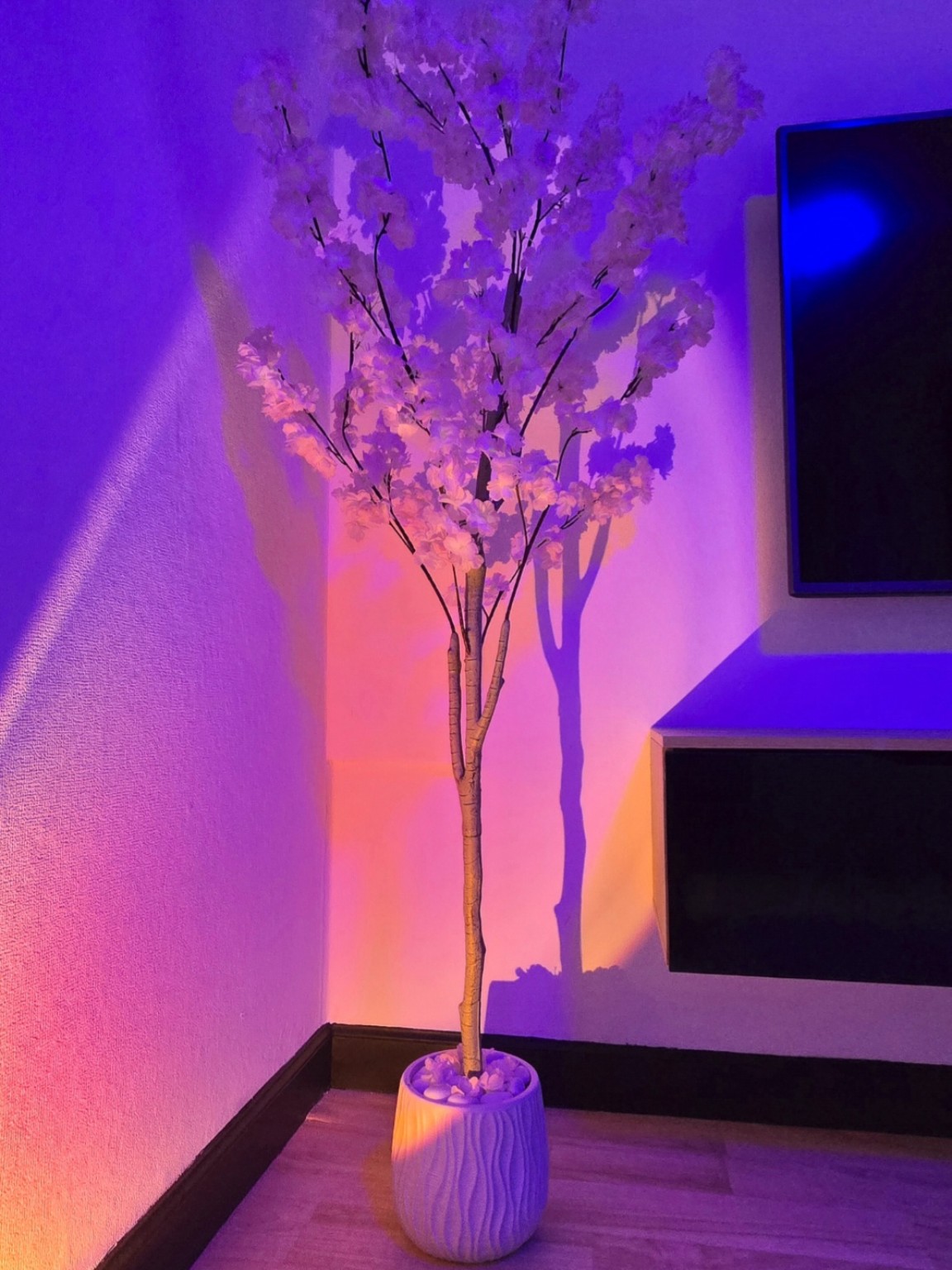 Éclairage d’ambiance coloré dans le salon de l’Appartement 1