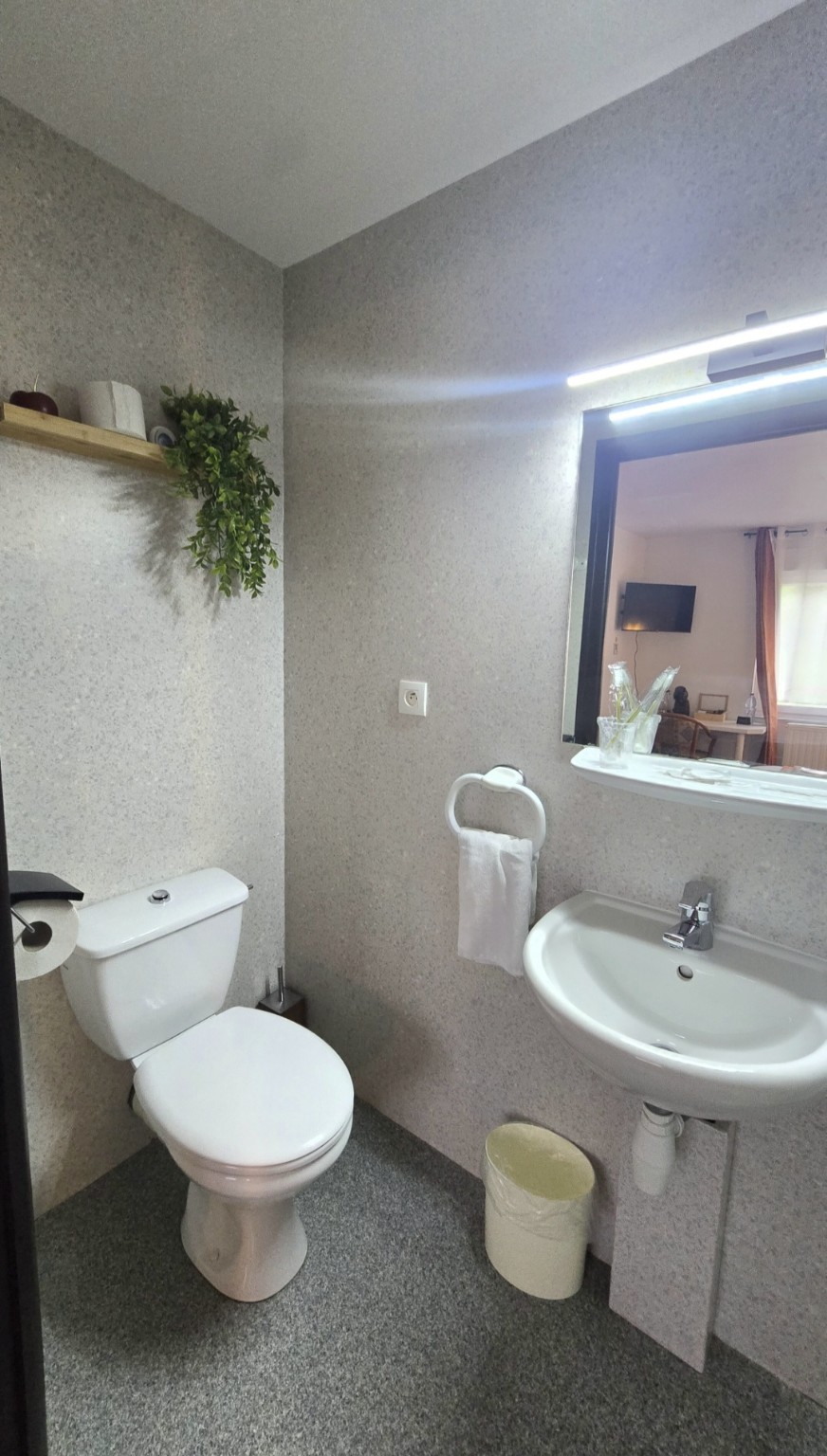 Salle de bain privative de la Chambre 5 avec WC et meuble vasque